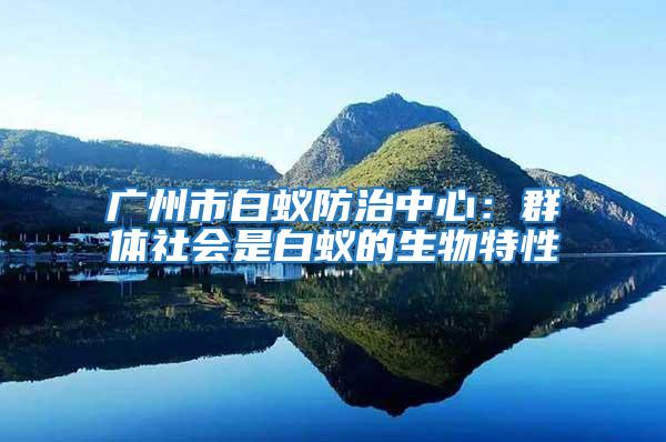 廣州市白蟻防治中心：群體社會是白蟻的生物特性