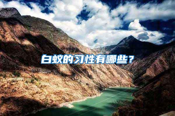 白蟻的習性有哪些？