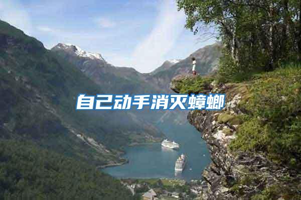 自己動手消滅蟑螂