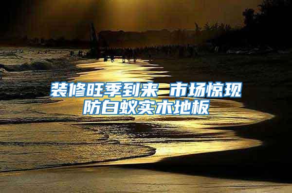 裝修旺季到來 市場驚現防白蟻實木地板