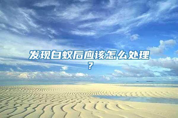 發現白蟻后應該怎么處理？
