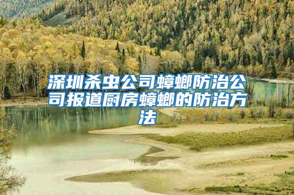 深圳殺蟲(chóng)公司蟑螂防治公司報(bào)道廚房蟑螂的防治方法