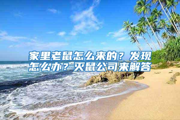 家里老鼠怎么來的？發現怎么辦？滅鼠公司來解答