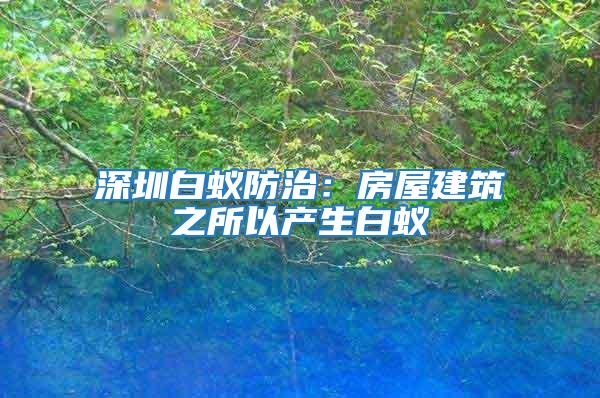 深圳白蟻防治：房屋建筑之所以產生白蟻