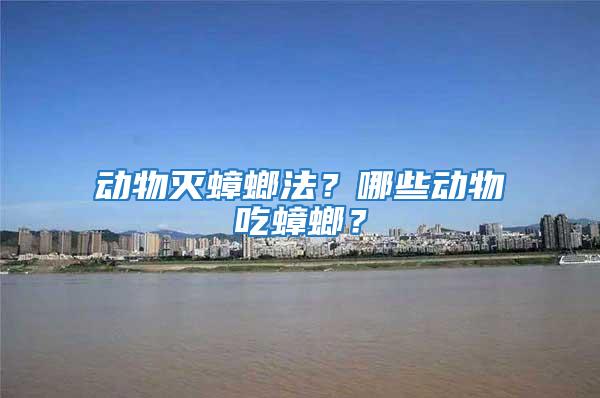 動(dòng)物滅蟑螂法？哪些動(dòng)物吃蟑螂？
