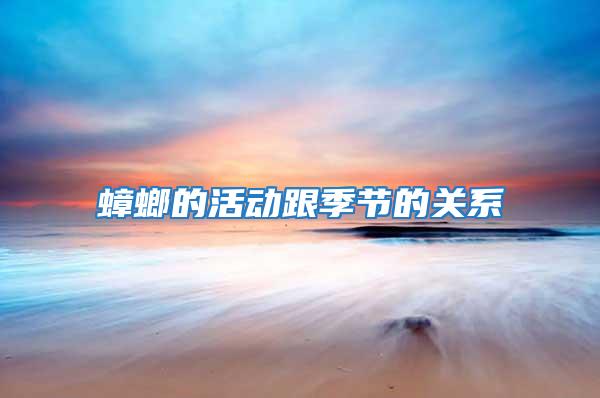 蟑螂的活動跟季節(jié)的關系