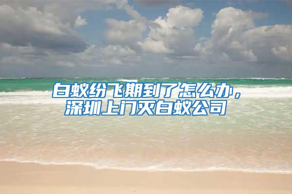 白蟻紛飛期到了怎么辦，深圳上門滅白蟻公司