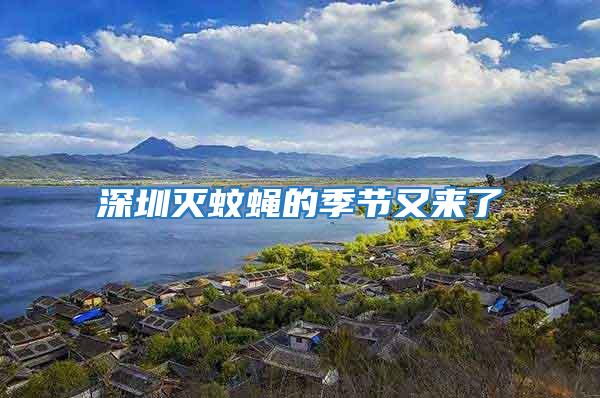 深圳滅蚊蠅的季節(jié)又來(lái)了