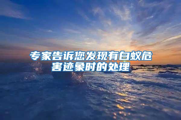 專家告訴您發現有白蟻危害跡象時的處理