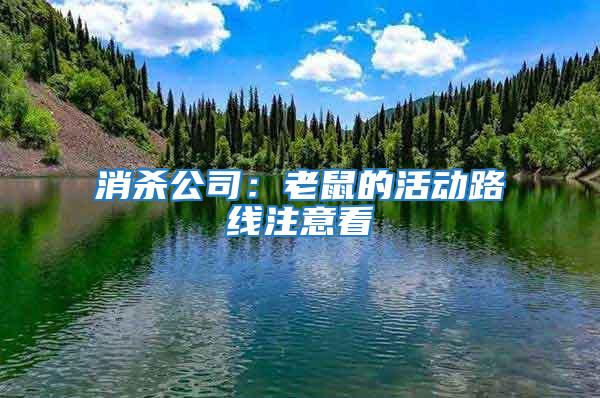 消殺公司：老鼠的活動(dòng)路線注意看