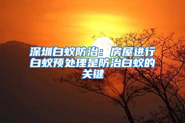 深圳白蟻防治：房屋進行白蟻預處理是防治白蟻的關鍵