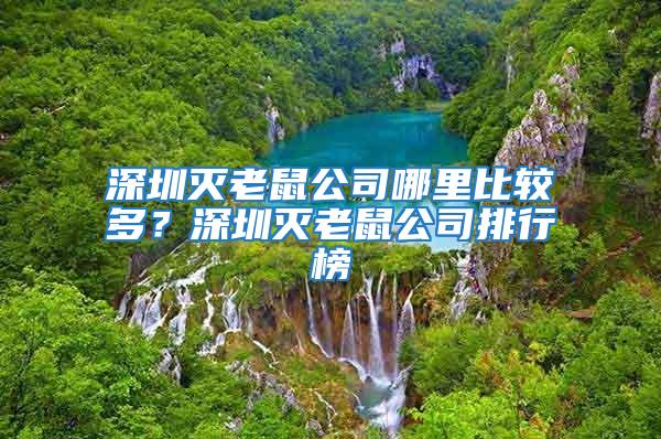 深圳滅老鼠公司哪里比較多？深圳滅老鼠公司排行榜