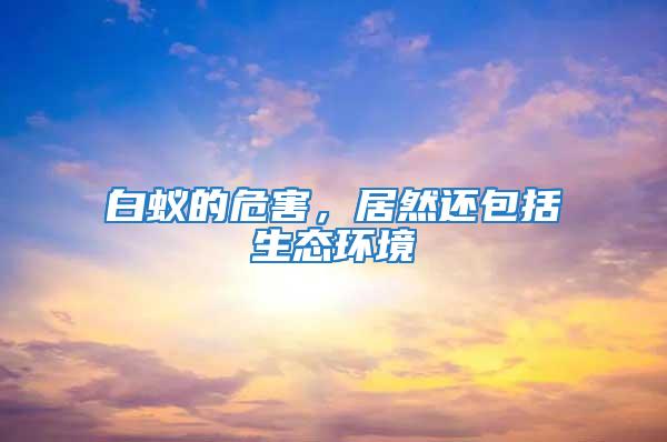 白蟻的危害，居然還包括生態環境
