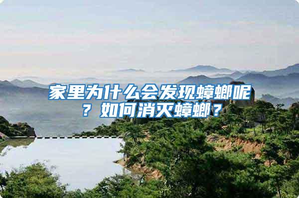 家里為什么會發現蟑螂呢？如何消滅蟑螂？