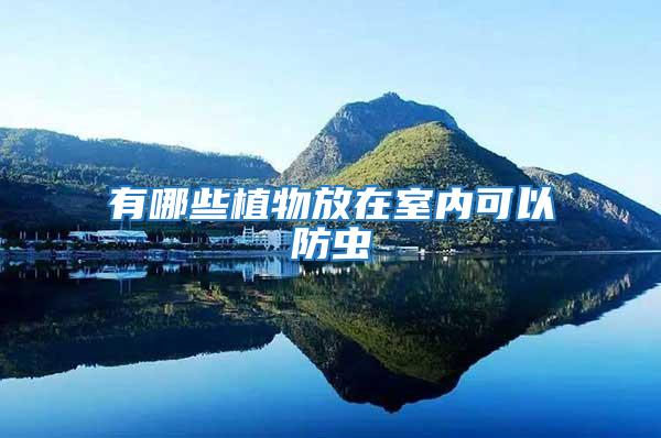 有哪些植物放在室內可以防蟲