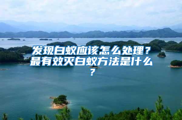 發現白蟻應該怎么處理？最有效滅白蟻方法是什么？