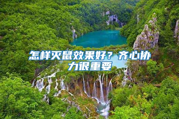 怎樣滅鼠效果好？齊心協力很重要