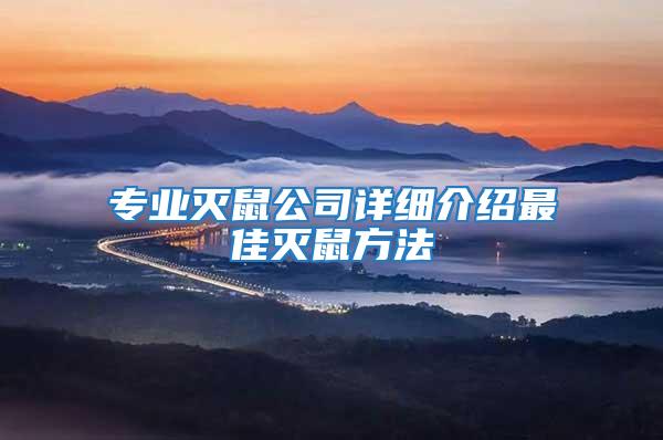 專業滅鼠公司詳細介紹最佳滅鼠方法