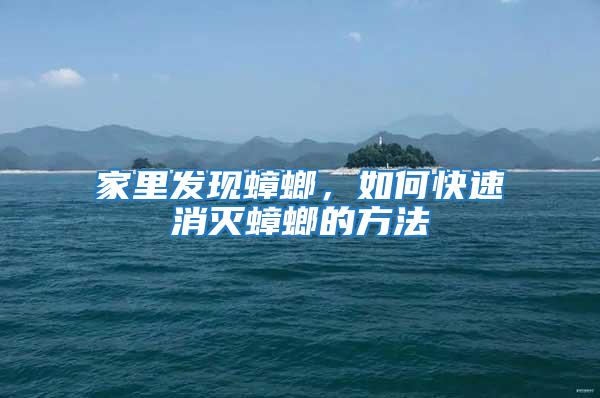 家里發現蟑螂，如何快速消滅蟑螂的方法