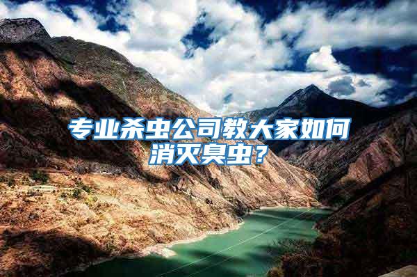 專業殺蟲公司教大家如何消滅臭蟲？