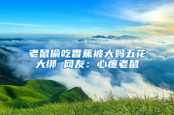 老鼠偷吃香蕉被大媽五花大綁 網友：心疼老鼠