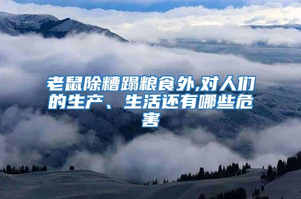 老鼠除糟蹋糧食外,對人們的生產、生活還有哪些危害