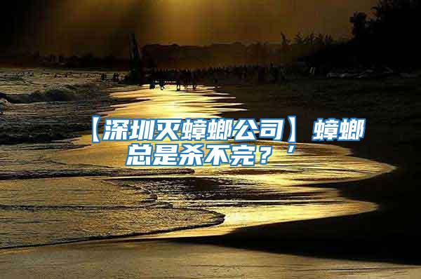 【深圳滅蟑螂公司】蟑螂總是殺不完？’