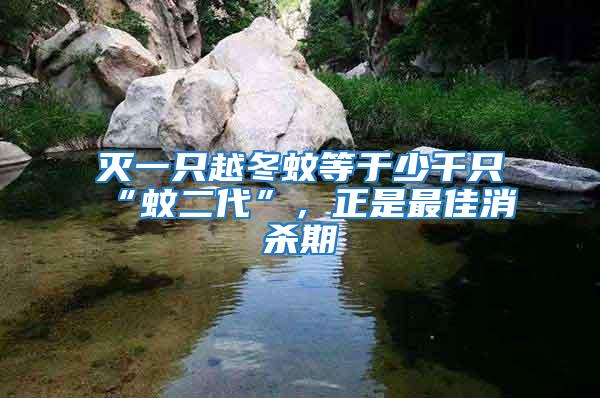 滅一只越冬蚊等于少千只“蚊二代”，正是最佳消殺期