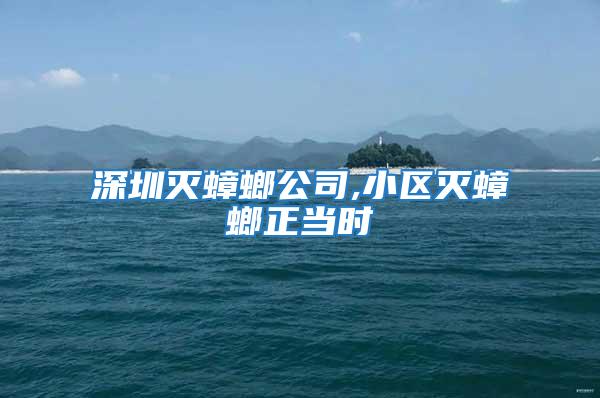 深圳滅蟑螂公司,小區(qū)滅蟑螂正當時