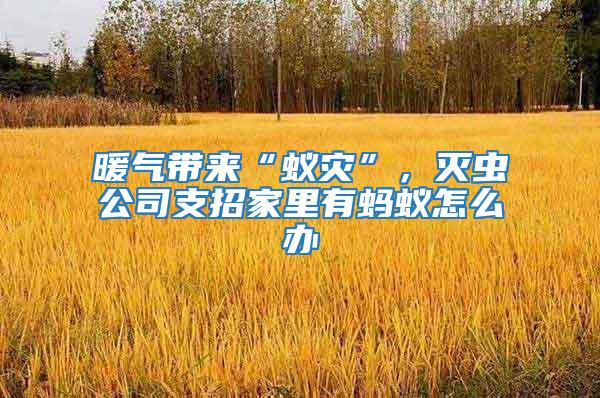 暖氣帶來(lái)“蟻災(zāi)”，滅蟲(chóng)公司支招家里有螞蟻怎么辦