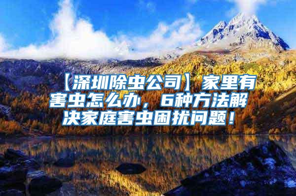 【深圳除蟲公司】家里有害蟲怎么辦，6種方法解決家庭害蟲困擾問題！