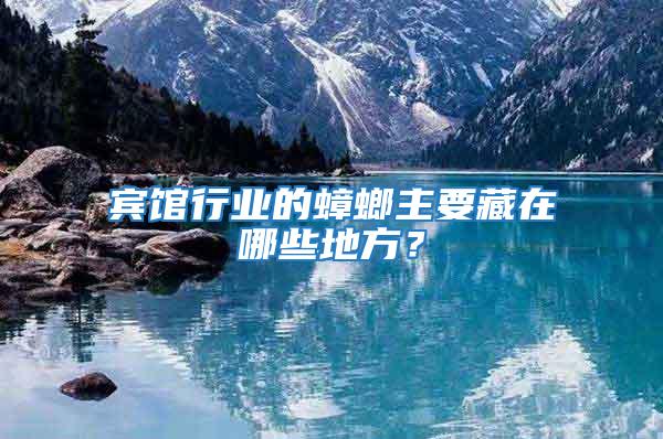 賓館行業(yè)的蟑螂主要藏在哪些地方？