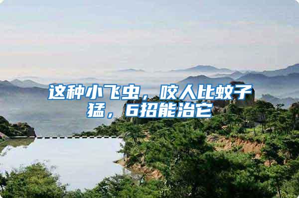 這種小飛蟲，咬人比蚊子猛，6招能治它