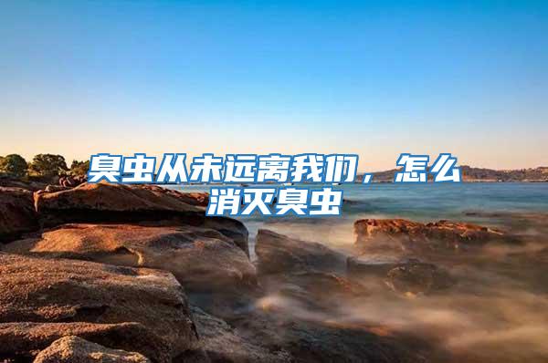 臭蟲從未遠離我們，怎么消滅臭蟲