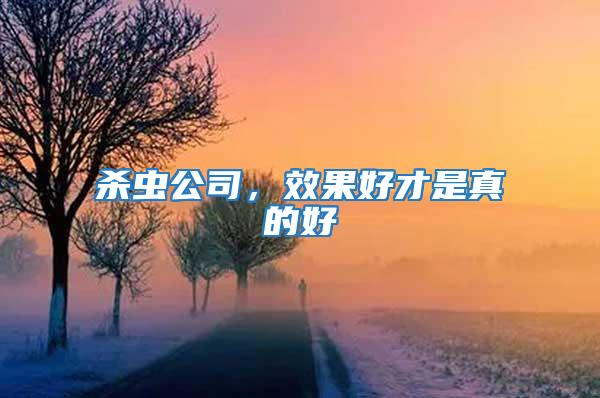 殺蟲公司，效果好才是真的好