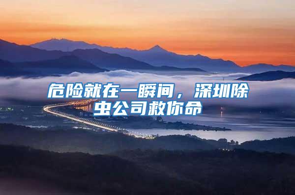危險(xiǎn)就在一瞬間，深圳除蟲(chóng)公司救你命