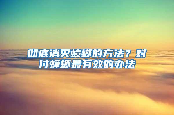 徹底消滅蟑螂的方法？對付蟑螂最有效的辦法