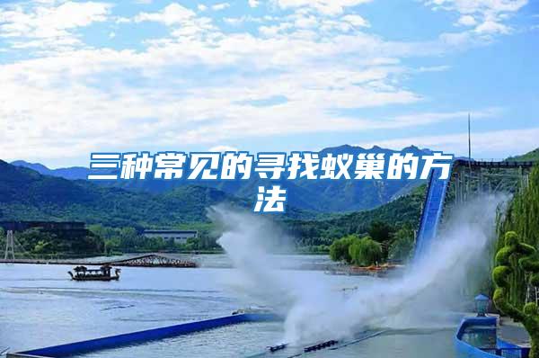 三種常見的尋找蟻巢的方法
