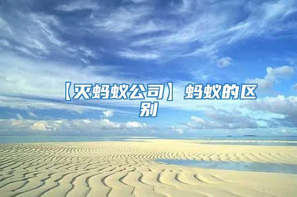 【滅螞蟻公司】螞蟻的區別