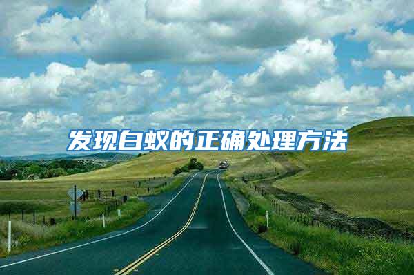 發現白蟻的正確處理方法