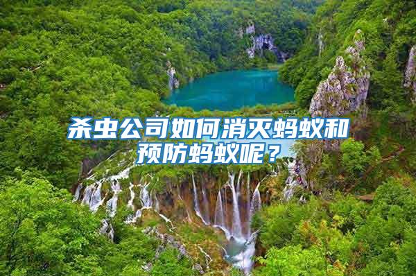 殺蟲公司如何消滅螞蟻和預防螞蟻呢？