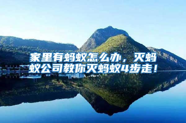 家里有螞蟻怎么辦，滅螞蟻公司教你滅螞蟻4步走！