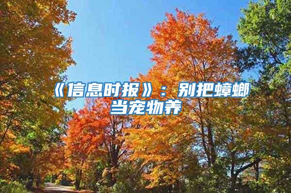《信息時報(bào)》：別把蟑螂當(dāng)寵物養(yǎng)