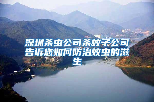 深圳殺蟲公司殺蚊子公司告訴您如何防治蚊蟲的滋生