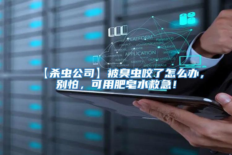 【殺蟲公司】被臭蟲咬了怎么辦，別怕，可用肥皂水救急！
