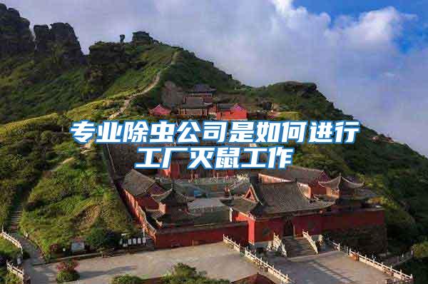 專業除蟲公司是如何進行工廠滅鼠工作