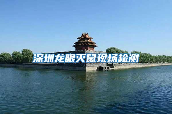 深圳龍眼滅鼠現場檢測