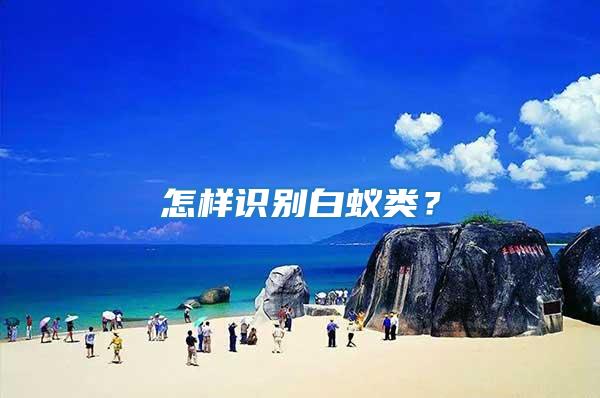 怎樣識別白蟻類？