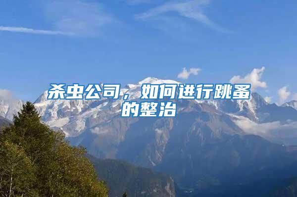 殺蟲公司，如何進行跳蚤的整治