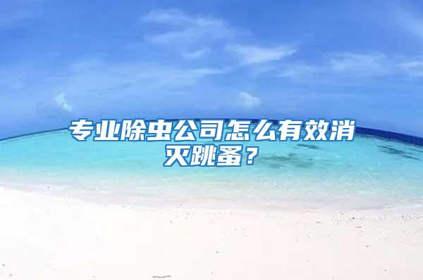 專業除蟲公司怎么有效消滅跳蚤？